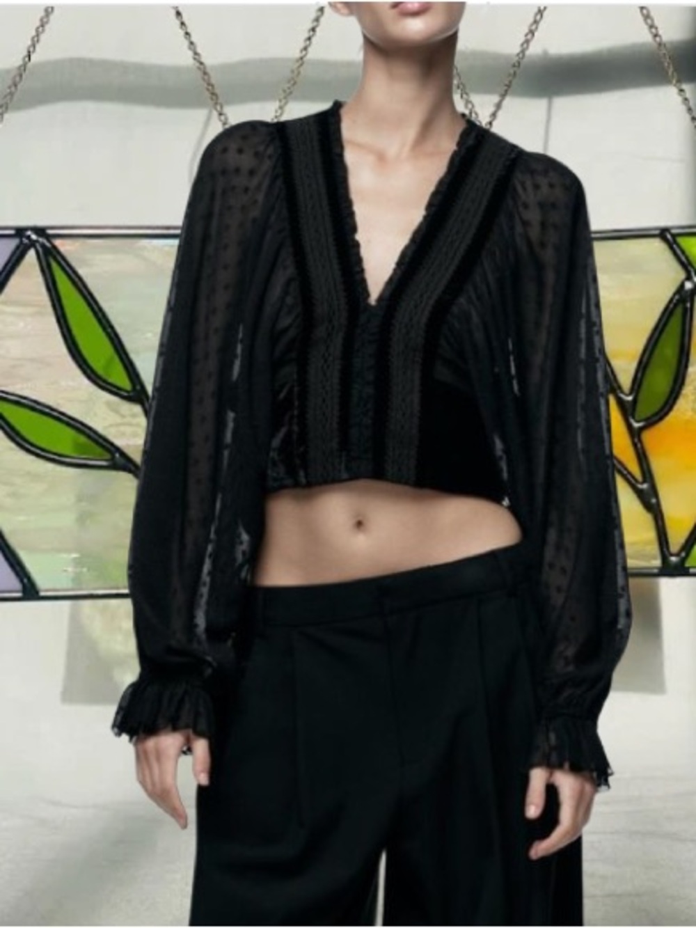 Zara Black Sheer V-Neck Cropped Top